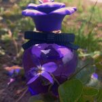 عطر ادکلن دولچه ویولت دولچه اند گابانا - Dolce Violet Dolce&Gabbana - بررسی، قیمت و خرید