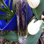 عطر ادکلن جنی جنی - Genny Genny - بررسی، قیمت و خرید