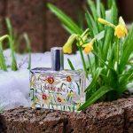 عطر ادکلن نارسیس فراگونارد - Narcisse Fragonard - بررسی، قیمت و خرید