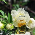 عطر ادکلن کالِش سُوا د پارفوم ارمِس - Caleche Soie de Parfum Hermès - بررسی، قیمت و خرید