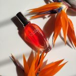 عطر ادکلن بالی پارادایس اسکادا - Bali Paradise Escada - بررسی، قیمت و خرید