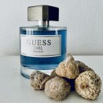 عطر ادکلن گس ۱۹۸۱ ایندیگو فور من گس - Guess 1981 Indigo for Men Guess - بررسی، قیمت و خرید