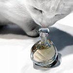 عطر ادکلن آنتولد الیزابت آردن - Untold Elizabeth Arden - بررسی، قیمت و خرید