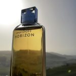 عطر ادکلن هورایزن داویدف - Horizon Davidoff - بررسی، قیمت و خرید