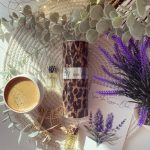 عطر ادکلن بای دولچه اند گابانا - By Dolce&Gabbana - بررسی، قیمت و خرید