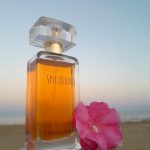 عطر ادکلن اسپل باند اِستی لادر - SpellBound Estée Lauder - بررسی، قیمت و خرید