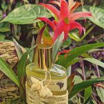 عطر ادکلن کاچاسا د شامبو فه‌تو برزیل - Cachaça de Jambu Feito Brasil - بررسی، قیمت و خرید