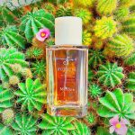 عطر ادکلن متافورا فووِگیا ۱۸۳۳ - Metáfora Fueguia 1833 - بررسی، قیمت و خرید