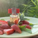 عطر ادکلن مدرن میوز له رژ استی لادر - Modern Muse Le Rouge Estée Lauder - بررسی، قیمت و خرید