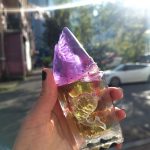 عطر ادکلن شی ایز فیش هوس آف آتروپا - She is Fish House of Atropa - بررسی، قیمت و خرید