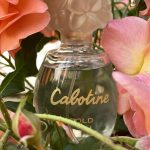 عطر ادکلن کبوتین گلد گرس - Cabotine Gold Grès - بررسی، قیمت و خرید