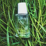 عطر ادکلن مالنا فوئگویا ۱۸۳۳ - Malena Fueguia 1833 - بررسی، قیمت و خرید