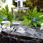 عطر ادکلن لیلا گیر نس - Laila Geir Ness - بررسی، قیمت و خرید