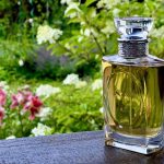 عطر ادکلن ل کرآسیون دو مانسیور دیور دیورلا دیور - Les Creations de Monsieur Dior Diorella Dior - بررسی، قیمت و خرید