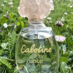 عطر ادکلن کبوتین گلد گرس - Cabotine Gold Grès - بررسی، قیمت و خرید