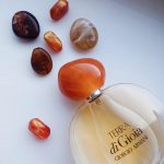 عطر ادکلن ترادی جیا جورجیو آرمانی - Terra di Gioia Giorgio Armani - بررسی، قیمت و خرید