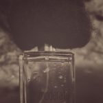 عطر ادکلن پیوجیا مودراتا فیلیپو سورسینلی - Pioggia Moderata Filippo Sorcinelli - بررسی، قیمت و خرید
