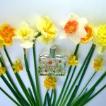 عطر ادکلن نارسیس فراگونارد - Narcisse Fragonard - بررسی، قیمت و خرید