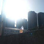 عطر ادکلن شی ایز فیش هوس آف آتروپا - She is Fish House of Atropa - بررسی، قیمت و خرید