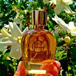 عطر ادکلن دیلتانت هایِرَم گِرین - Dilettante Hiram Green - بررسی، قیمت و خرید