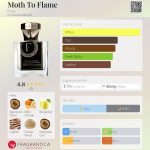 عطر ادکلن ماث تو فلیم فیوز - Moth To Flame Fuse - بررسی، قیمت و خرید
