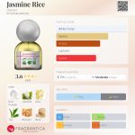 عطر ادکلن جاسمین رایس دی گری - Jasmine Rice d.grayi - بررسی، قیمت و خرید