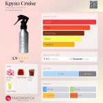 عطر ادکلن کروز هلینوز پارفومز - Круиз Cruise Holynose Parfums - بررسی، قیمت و خرید