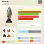 عطر ادکلن هاوانا فلوریان پونتیه - Havana Florian Pontier - بررسی، قیمت و خرید