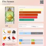 عطر ادکلن فایو سنسز هاوس آو داستان - Five Senses House of Dastan - بررسی، قیمت و خرید