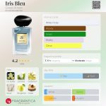 عطر ادکلن آیریس بلو جورجیو آرمانی - Iris Bleu Giorgio Armani - بررسی، قیمت و خرید