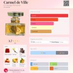 عطر ادکلن کارمل د ویل اِن وُیِج پرفیومز - Carmel de Ville En Voyage Perfumes - بررسی، قیمت و خرید