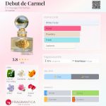 عطر ادکلن دیبو دو کارمل اِن وُیاژ پرفیومز - Debut de Carmel En Voyage Perfumes - بررسی، قیمت و خرید