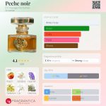 عطر ادکلن پش نوآر اِن وَیِج پِرفیومز - Peche noir En Voyage Perfumes - بررسی، قیمت و خرید