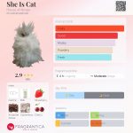 عطر ادکلن شی ایز کت هاوس آو آتروپا - She Is Cat House of Atropa - بررسی، قیمت و خرید