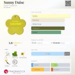 عطر ادکلن سانی دیز دایس فرگرنس - Sunny Daise Daise Fragrance - بررسی، قیمت و خرید