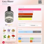 عطر ادکلن گری بلیزر دی اس اند درگا - Grey Blazer DS&Durga - بررسی، قیمت و خرید