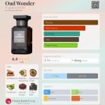 عطر ادکلن عود واندر فراگرنس ورد - Oud Wonder Fragrance World - بررسی، قیمت و خرید