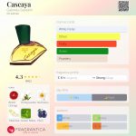 عطر ادکلن کاسکایا گابریلا ساباتینی - Cascaya Gabriela Sabatini - بررسی، قیمت و خرید