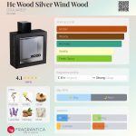عطر ادکلن هی وود سیلور ویند وود دسکوارد - He Wood Silver Wind Wood DSQUARED² - بررسی، قیمت و خرید