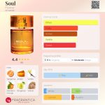 عطر ادکلن سول فلورمار - Soul Flormar - بررسی، قیمت و خرید
