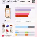 عطر ادکلن دی اند جی آنتولوجی لا تمپرنس ۱۴ دولچه گابانا - D&G Anthology La Temperance 14 Dolce&Gabbana - بررسی، قیمت و خرید