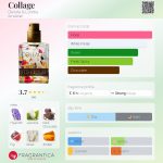 عطر ادکلن کلاژ دووتا اند لومبا - Collage Devota & Lomba - بررسی، قیمت و خرید