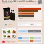 عطر ادکلن جورجیو بورلی هیلز فور من وی آی پی اسپشیال رزرو جورجیو بورلی هیلز - Giorgio Beverly Hills for Men V.I.P. Special Reserve Giorgio Beverly Hills - بررسی، قیمت و خرید