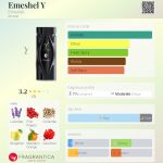 عطر ادکلن امشل وای امه‌شل - Emeshel Y Emeshel - بررسی، قیمت و خرید