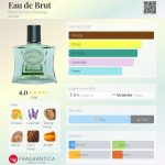 عطر ادکلن اُ دو بروت بروت پرفیوم پرستیژ - Eau de Brut Brut Parfums Prestige - بررسی، قیمت و خرید