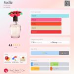 عطر ادکلن سیدی هالیستر - Sadie Hollister - بررسی، قیمت و خرید
