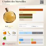 عطر ادکلن لامبر د ماورای هِرمِس - L’Ambre des Merveilles Hermès - بررسی، قیمت و خرید