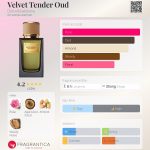 عطر ادکلن ولوت تندر عود دولچه گابانا - Velvet Tender Oud Dolce&Gabbana - بررسی، قیمت و خرید