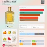 عطر ادکلن سول امبر فلوریس - Soulle Ambar Floris - بررسی، قیمت و خرید