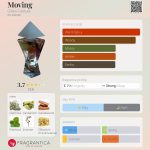 عطر ادکلن مووینگ ژیلس کانتول - Moving Gilles Cantuel - بررسی، قیمت و خرید